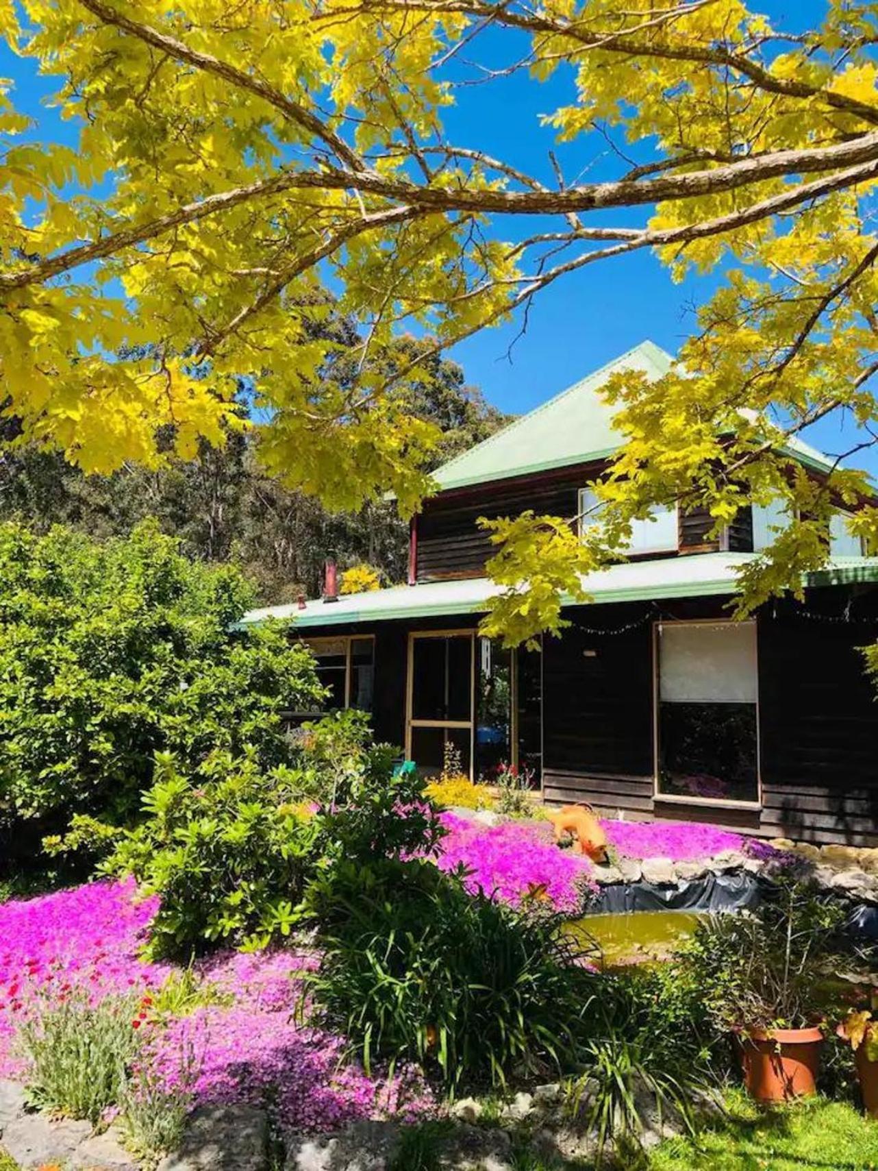 Pemberton Forest View Retreat Villa Exterior photo